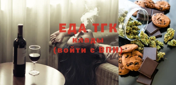 индика Осинники