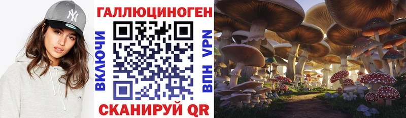 Галлюциногенные грибы мухоморы  Курчалой 